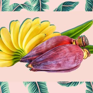 Team Page: Okanagan CFS Climbers